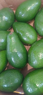 Avocado